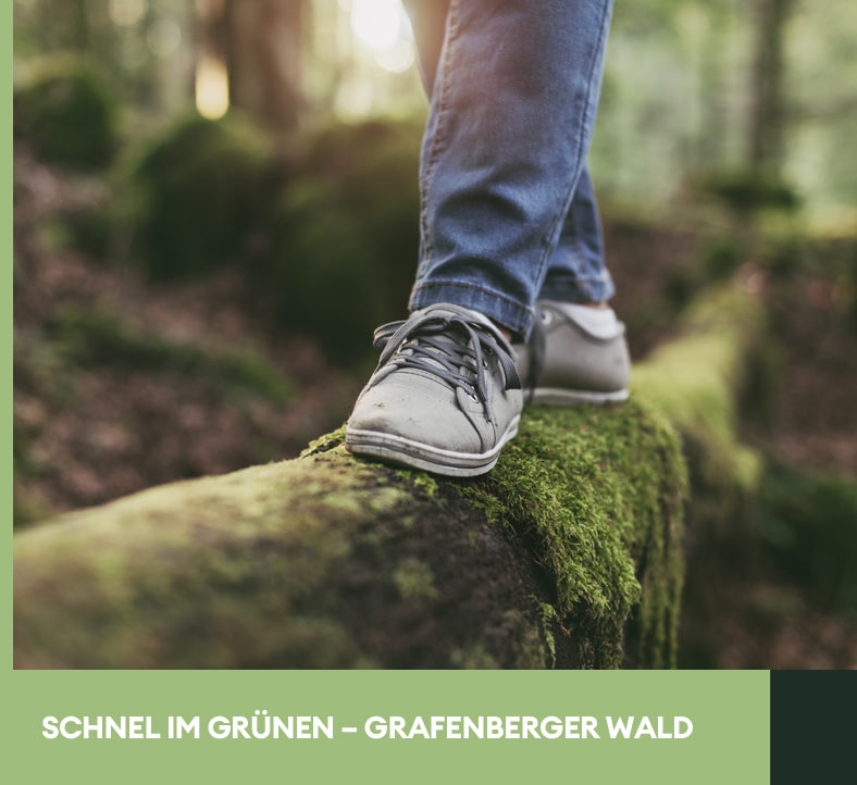 Schnell im Grünen – Grafenberger Wald